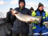 Lachs als Beifang beim Hochseeangeln auf der Ostsee.
